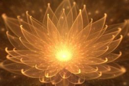 Understanding the Relationship Between Velocity and Pressure in Pipe ...